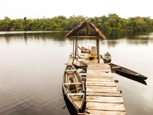 A wooden pier leads out to small wooden canoes in the Amazon jungle.