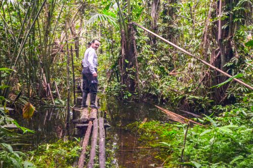 A man crosses a bridge in the Amazon jungle.