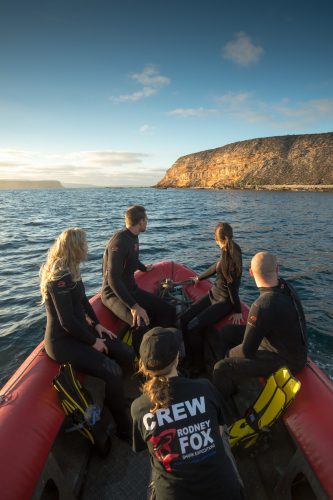 Visiting Hopkins Island on a small boat with Rodney Fox Expeditions cage-diving