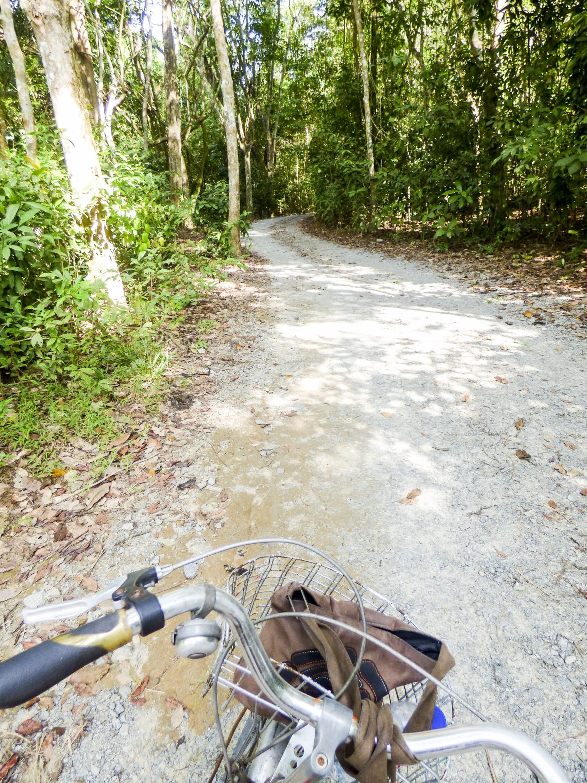 Cycling in Pulau Ubin, an island off northeastern Singapore and one of the city-state's last 'kampung' or village.