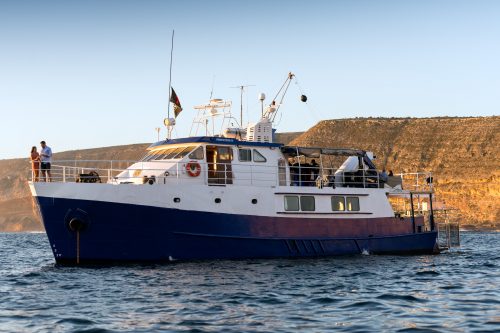 Princess II on location during a cage-diving Rodney Fox Expedition