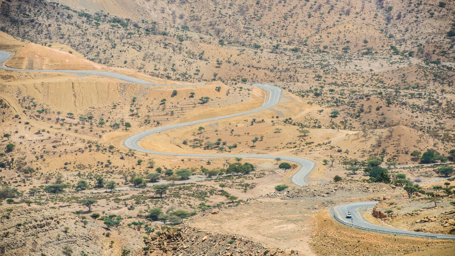 A road winds its way though barren hills interspersed with green trees, in the Danakil Depression, Ethiopia.