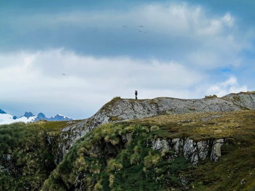 A solitary figure stands on a rocky outcrop under moody clouds on South Georgia Island.