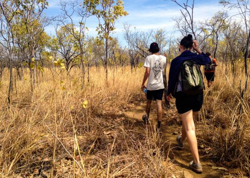 Travelers hike through the yellowing grasses of the Outback in Australia.