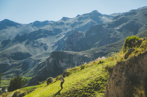 A verdant valley in the Colca Canynon in Peru