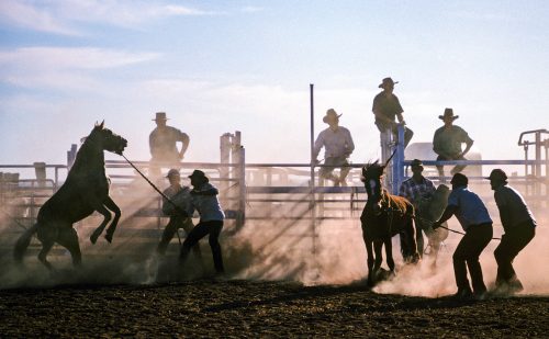 Men at a rodeo in outback Australia sit on fences as horses are rounded up.