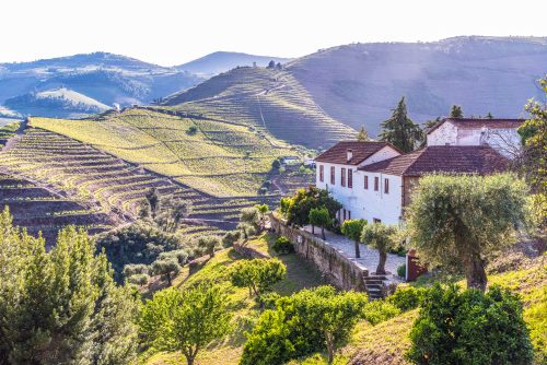 A house stands above the lush fields of the Douro Valley in Portugal
