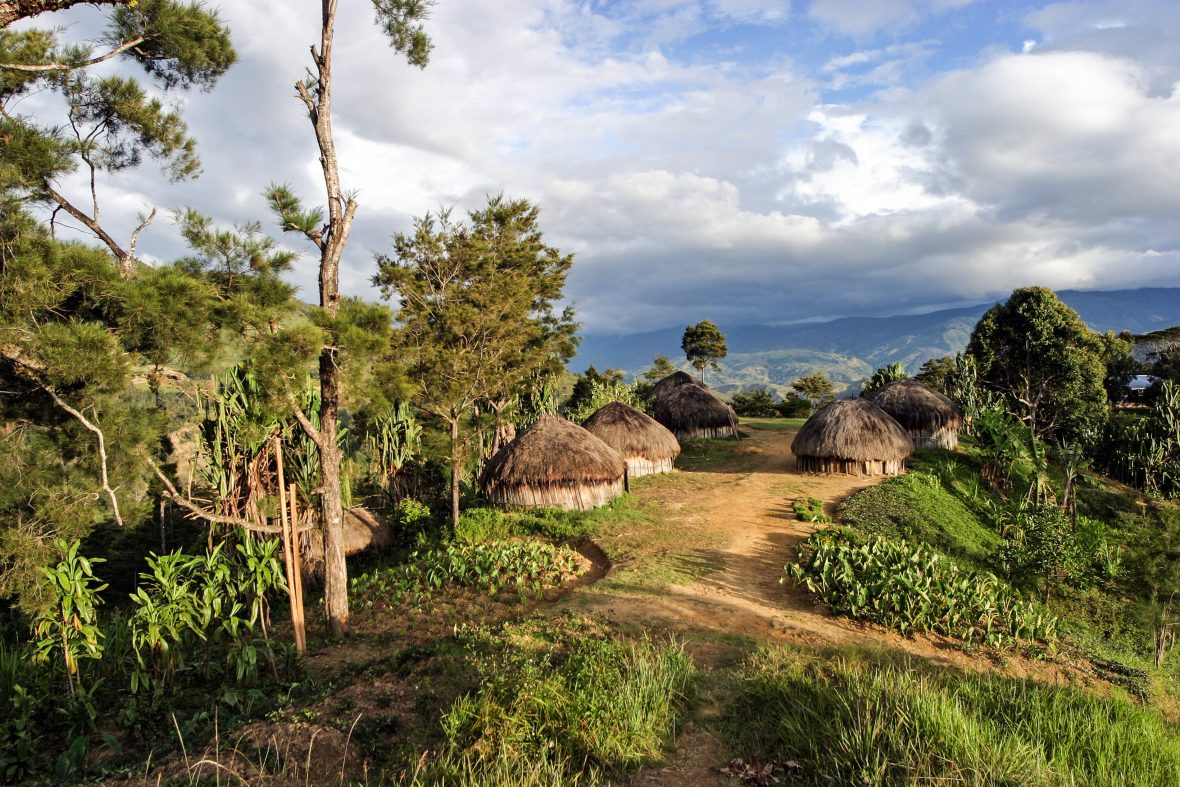 A traditional village in the hills of Papua New Guinea.