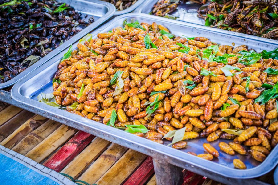A type of fried worm, served up as a street food stand in Thailand.