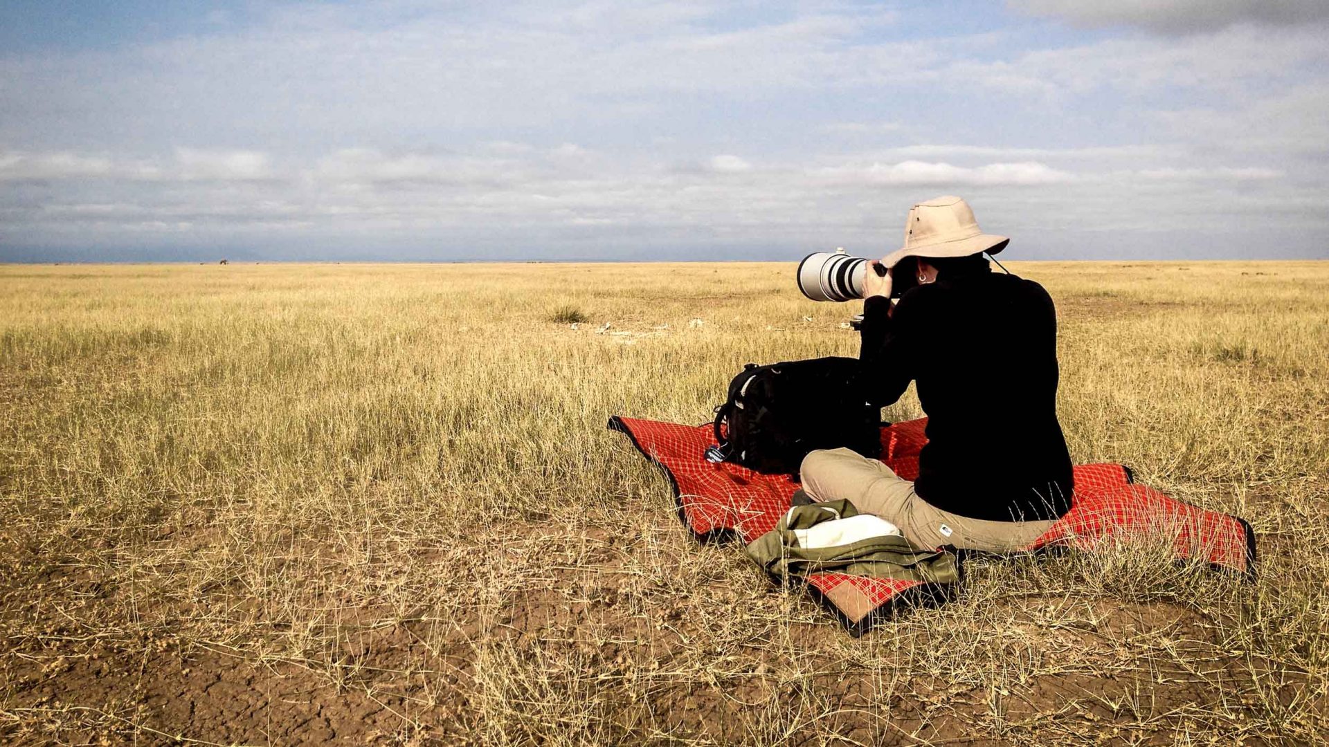 In photos: Tracing the footsteps of Manitoba’s polar bears