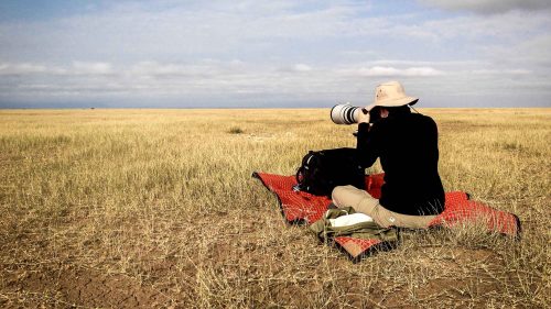 Photographer Susan Portnoy taking a photo.