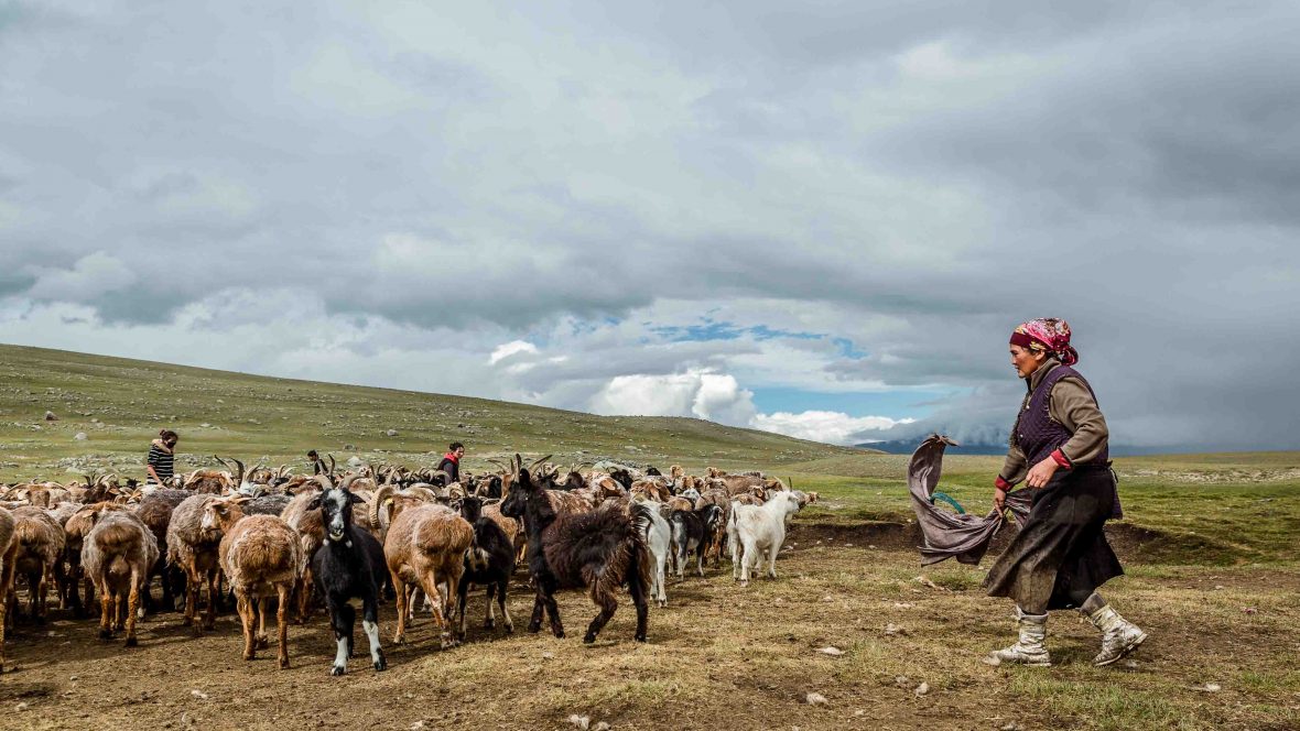 Photos: Inside the lives of Mongolia's nomads | Adventure.com