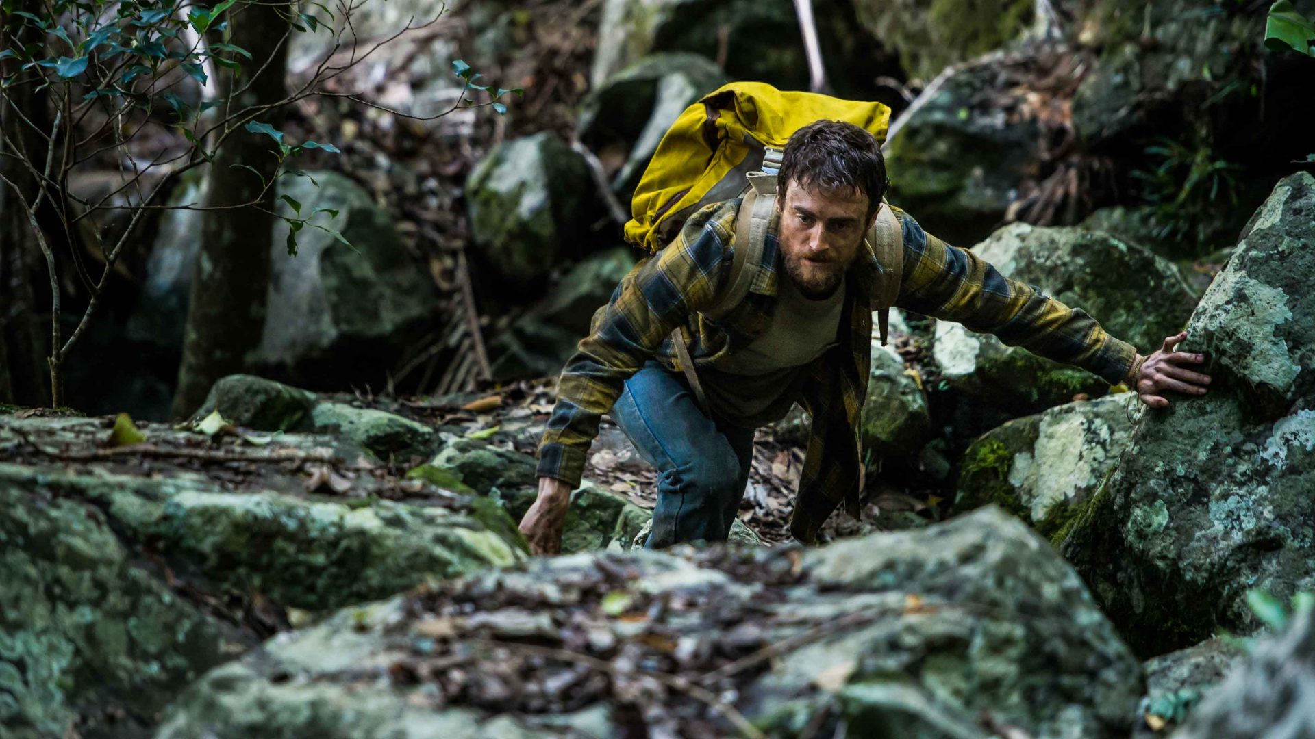 Will Daniel Radcliffe’s ‘Jungle’ film help save Bolivian ecotourism?