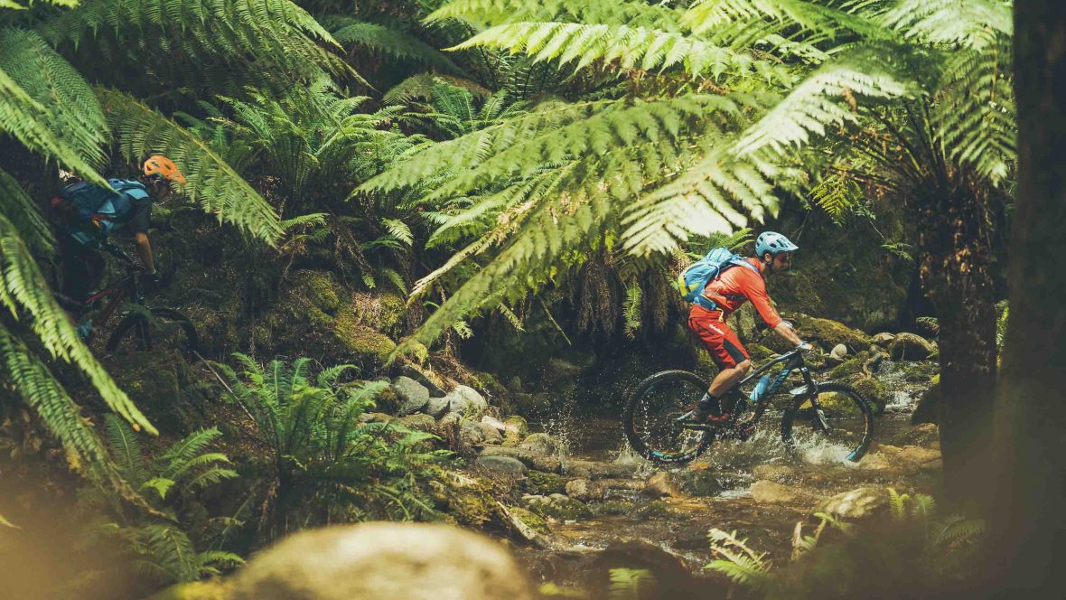 west mountain biking