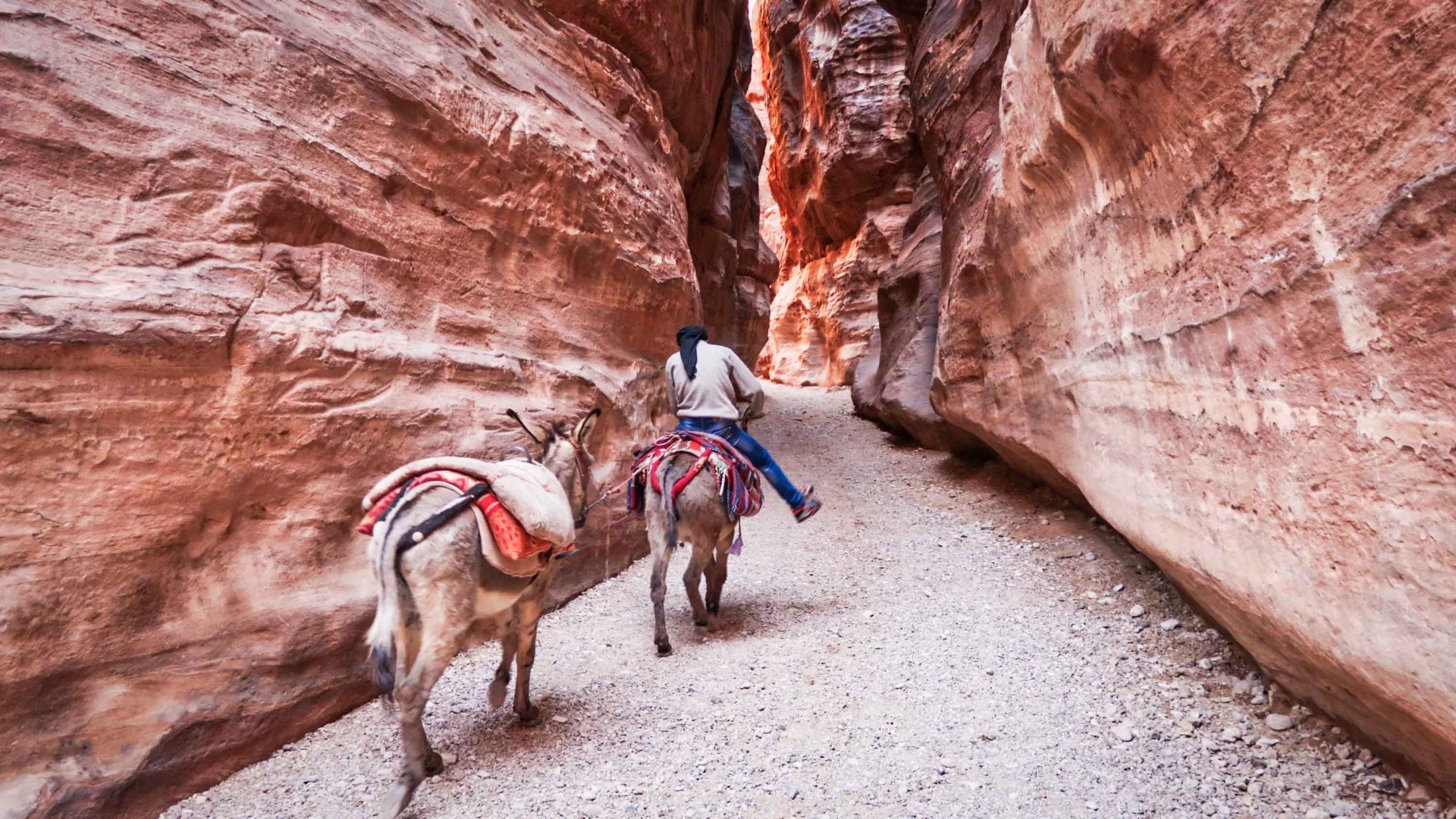A Bedouin rides his donkeys through the Siq towards the Treasury at Petra, Jordan.