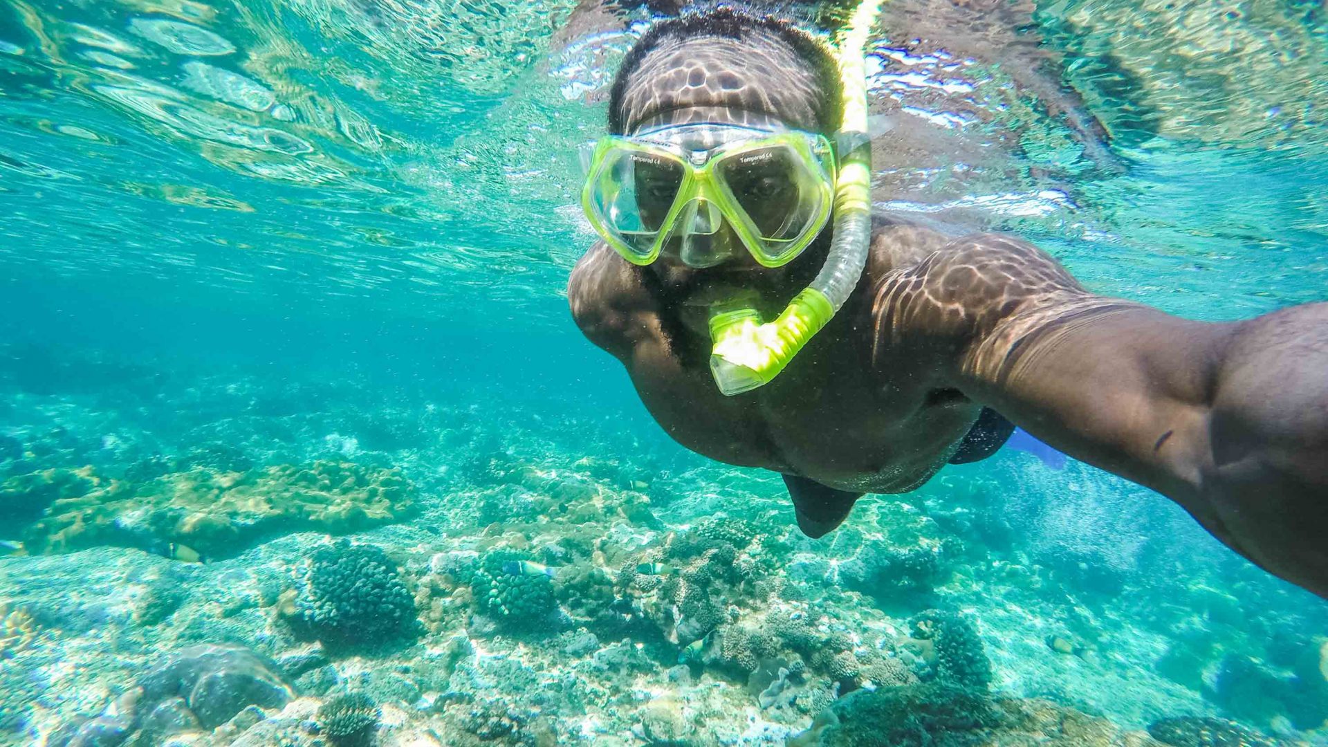 Mario Rigby swimming in the reefs near Bazaruto Island in Mozambique.