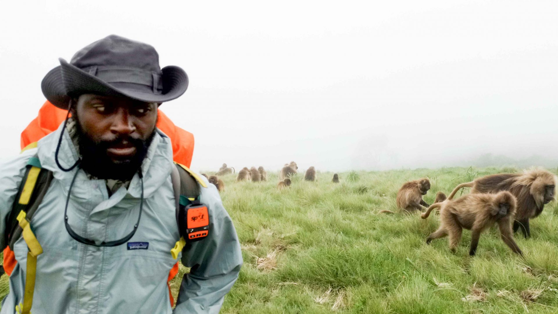 The man who walked 12,000 kilometers across the African continent