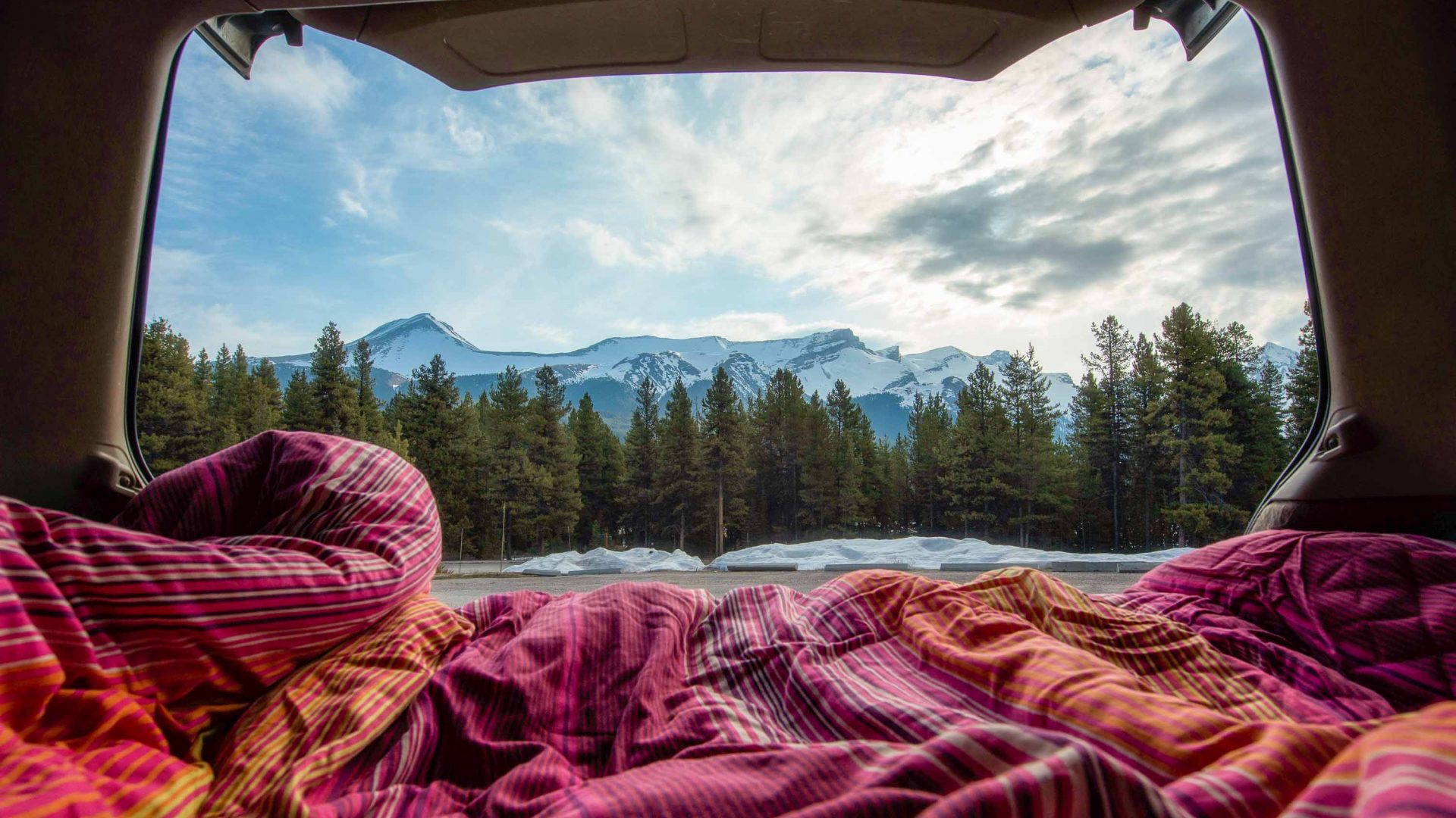 What can you learn from six gross, frustrating, spectacular months of #vanlife?