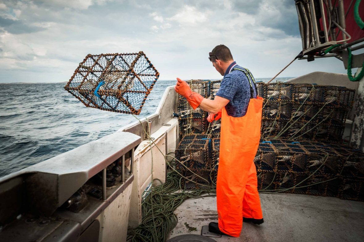 Fisherman Martin Olofsson throws a cage into the ocean in anticipation of a catch later in the day.