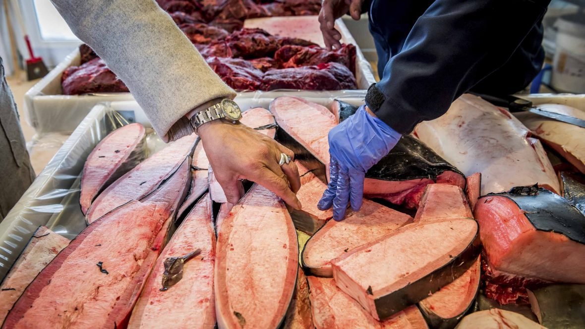Seal soup for dinner? Get to know Greenland's Inuit cuisine | Adventure.com