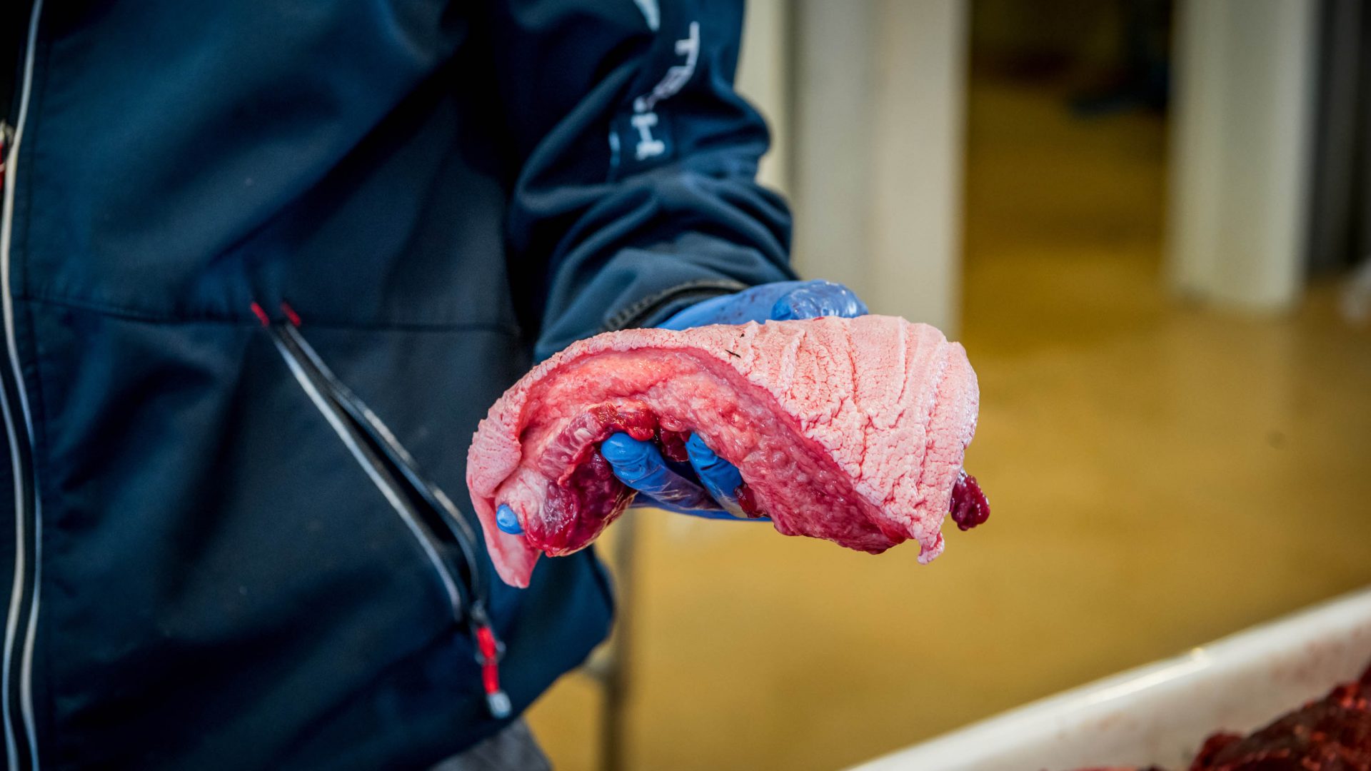 Cuts of flesh, such as this whale tongue, usually associated with a butcher are on display at Kalaaliaraq market.