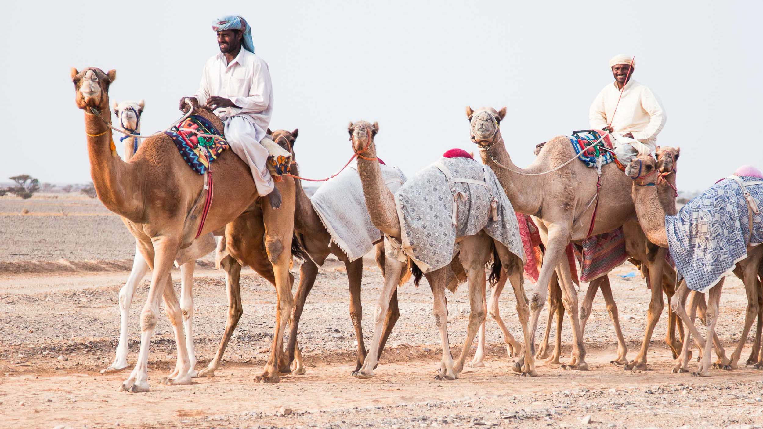 Camel's Back Road