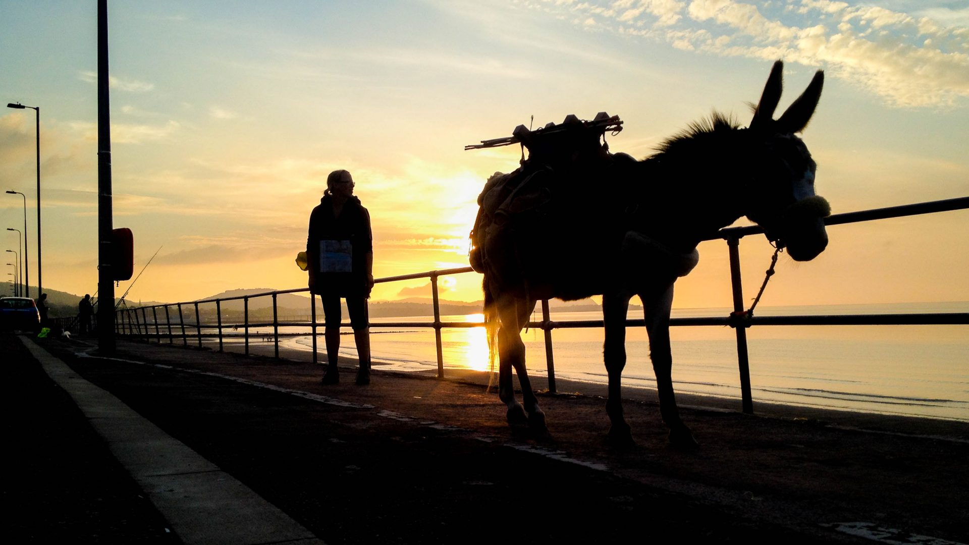 Hannah Engelkamp and her donkey Chico silhouetted against the sky.