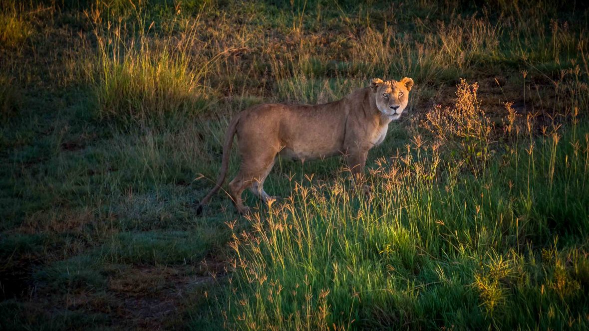 In photos: Hot air ballooning over the Serengeti | Adventure.com