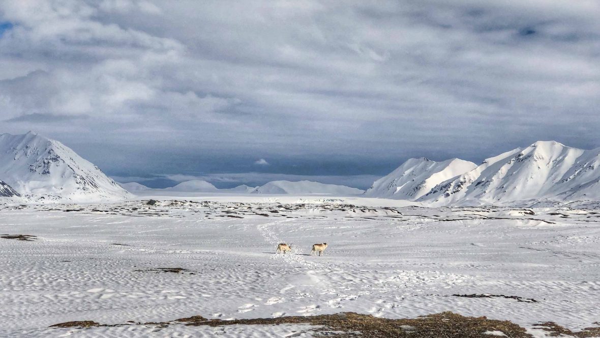 Extreme travel: The magnetic attraction of the two Poles | Adventure.com