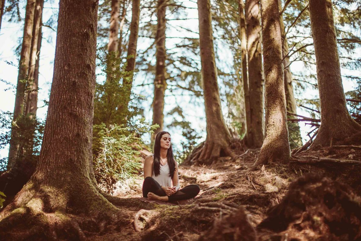 Practising meditation in the forest is intended to bring the practitioner a sense of wellbeing in their lives.