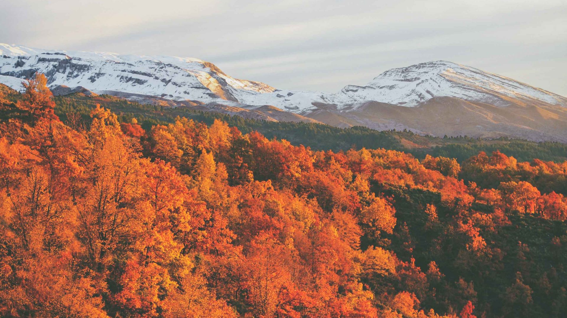 Autumn colors in Zagori.