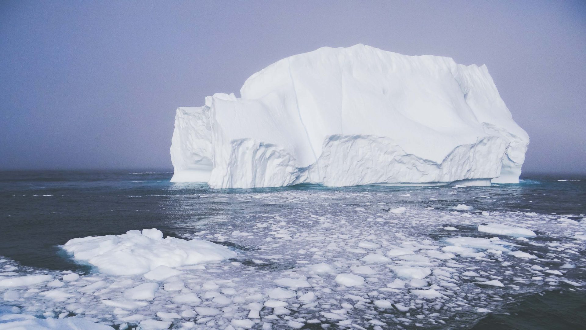 Newfoundland, home of the world’s biggest iceberg parade
