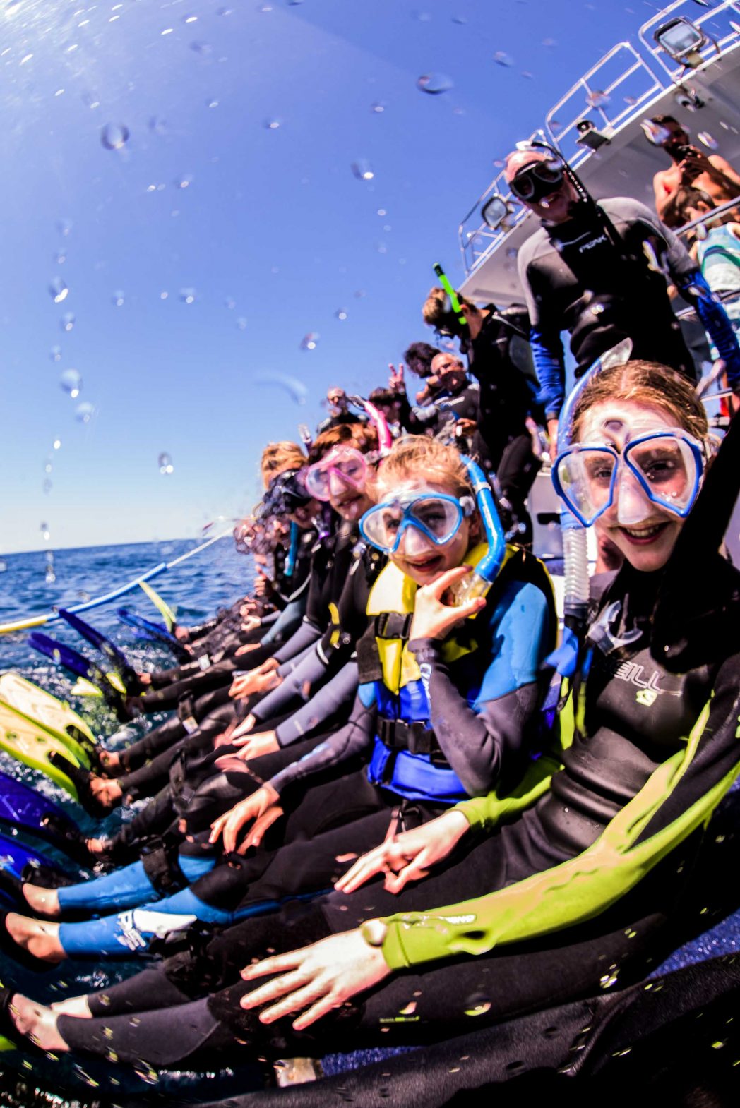 Snorkelers prepare to swim with the whales.