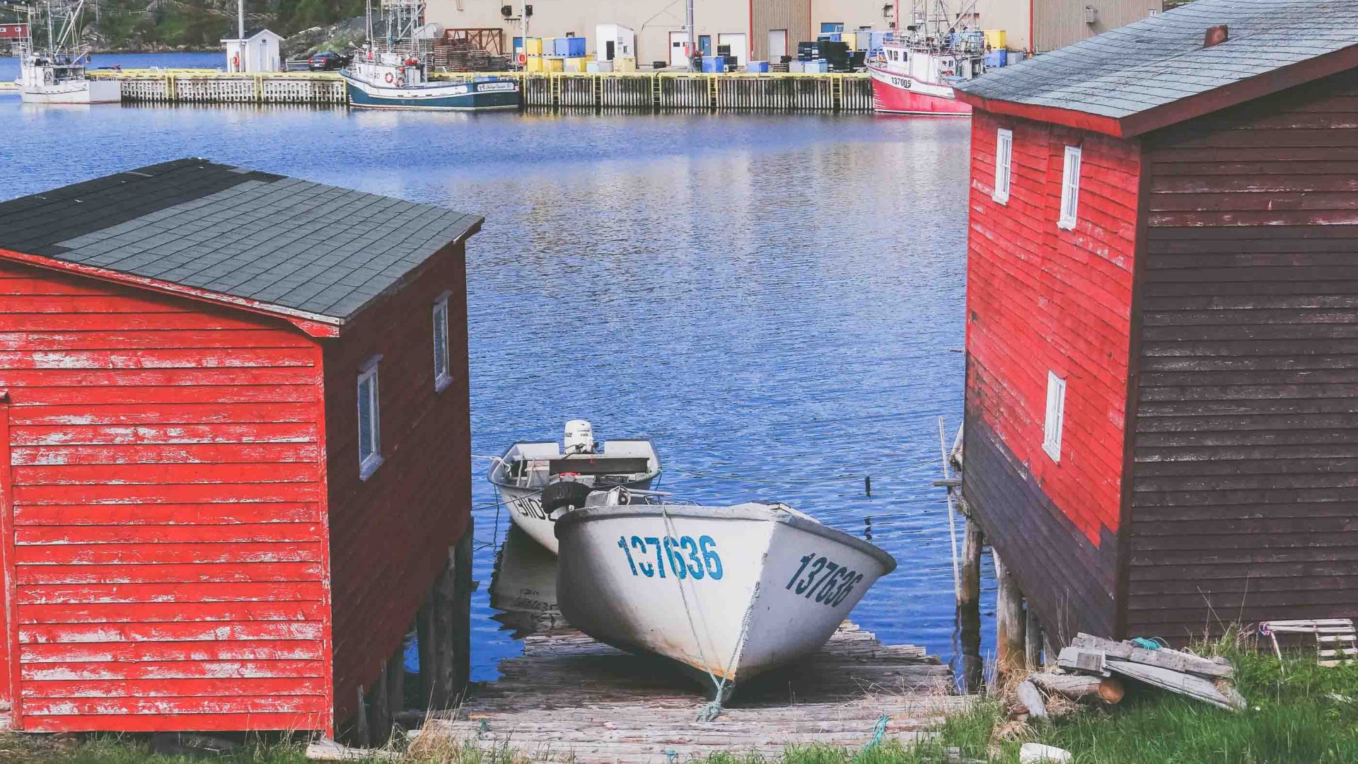 Fishing huts in Newfoundland.