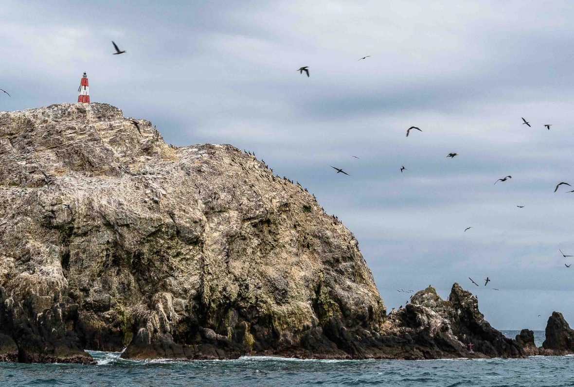 Farallon Islands off San Francisco were known as ‘Islands of the Dead’ to Native Americans, and ‘Devil’s Teeth’ to sailors for their dangerous underwater shoals.