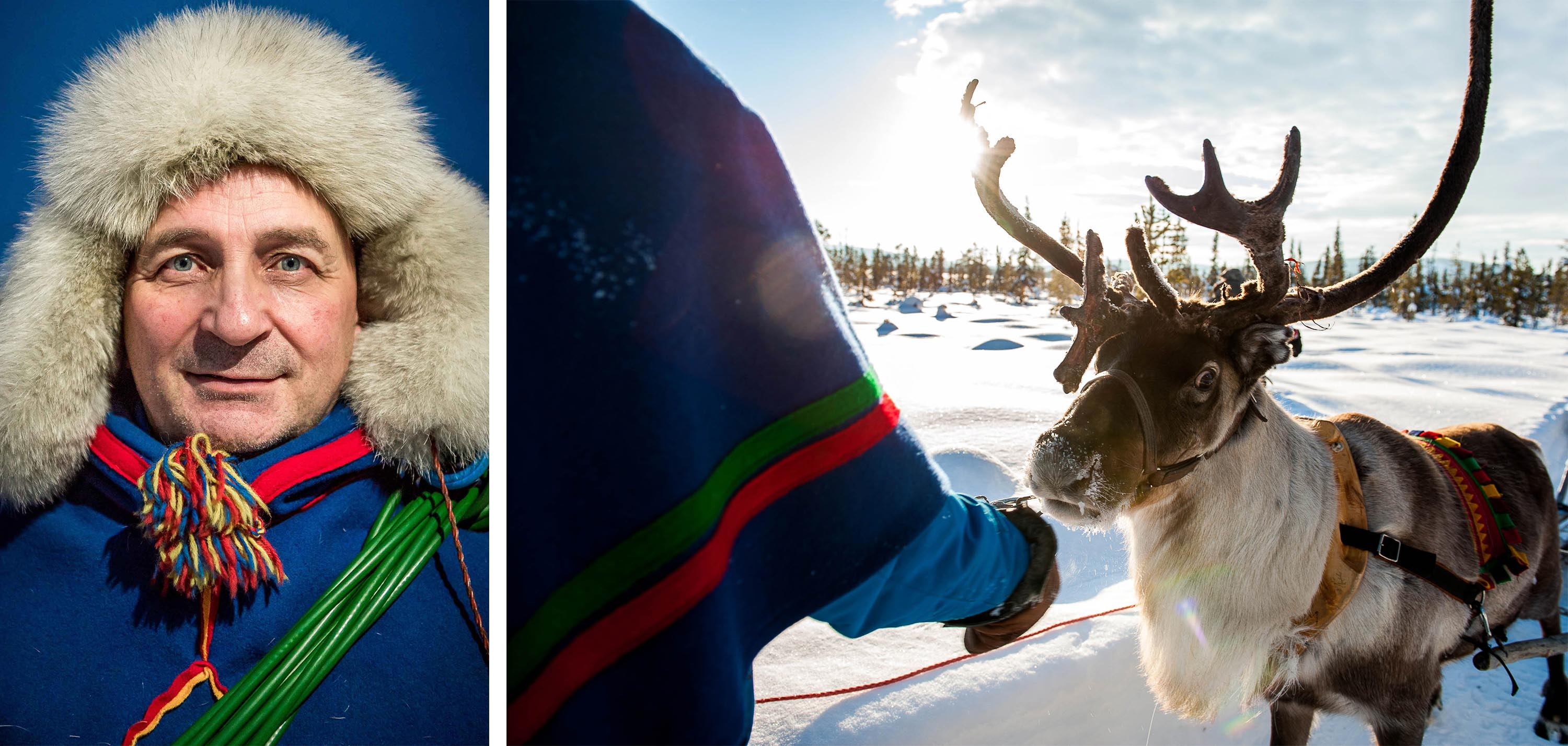 In photos sweden s incredible reindeer herders adventure