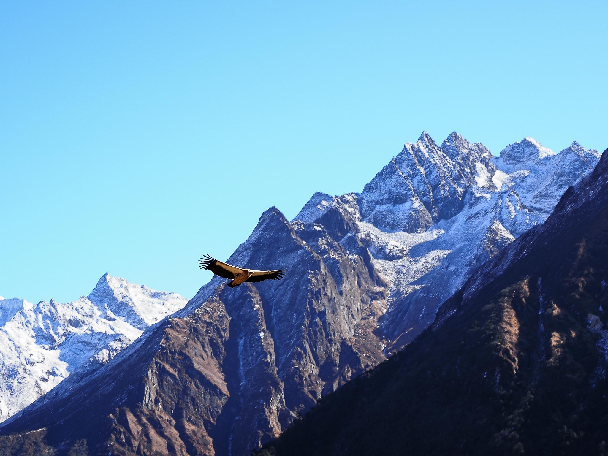 Has tourism ruined the Everest Base Camp hike? | Adventure.com