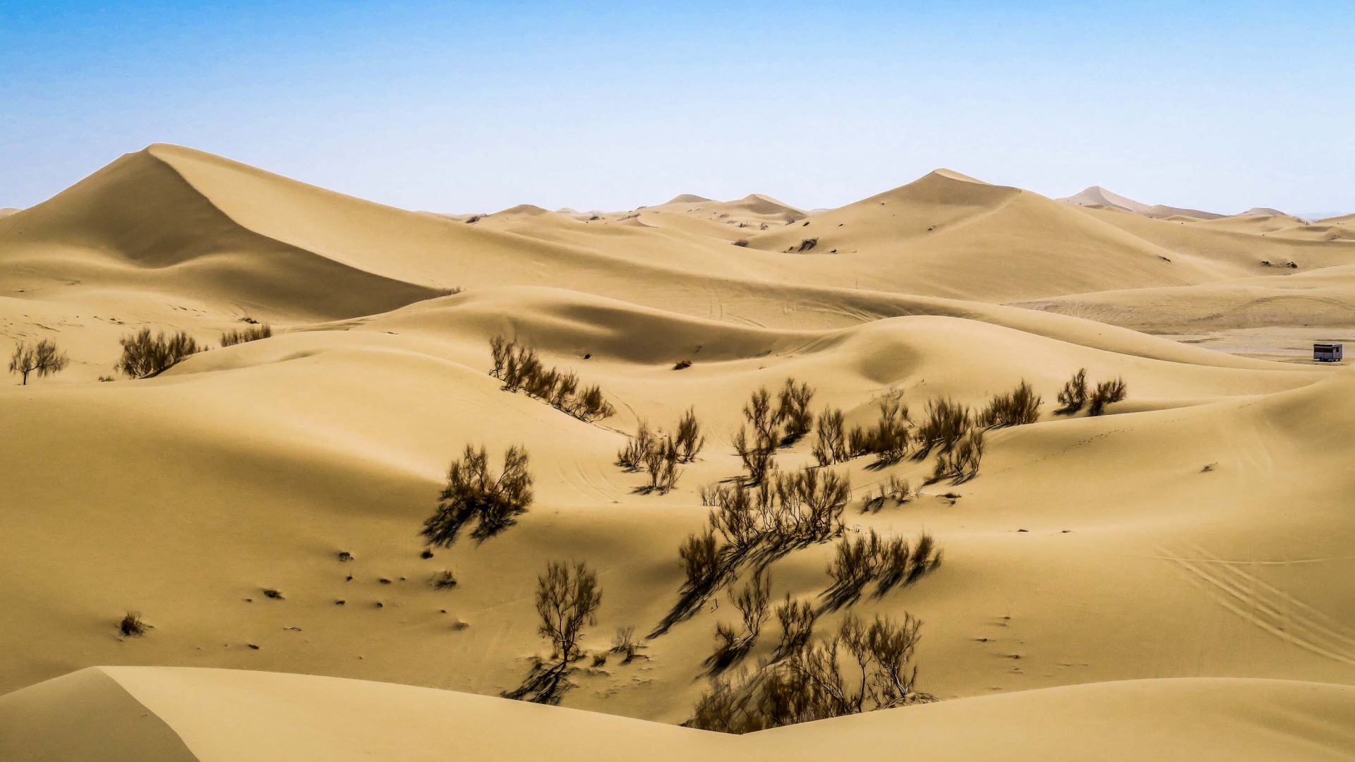 The sand dunes of Varzaneh.
