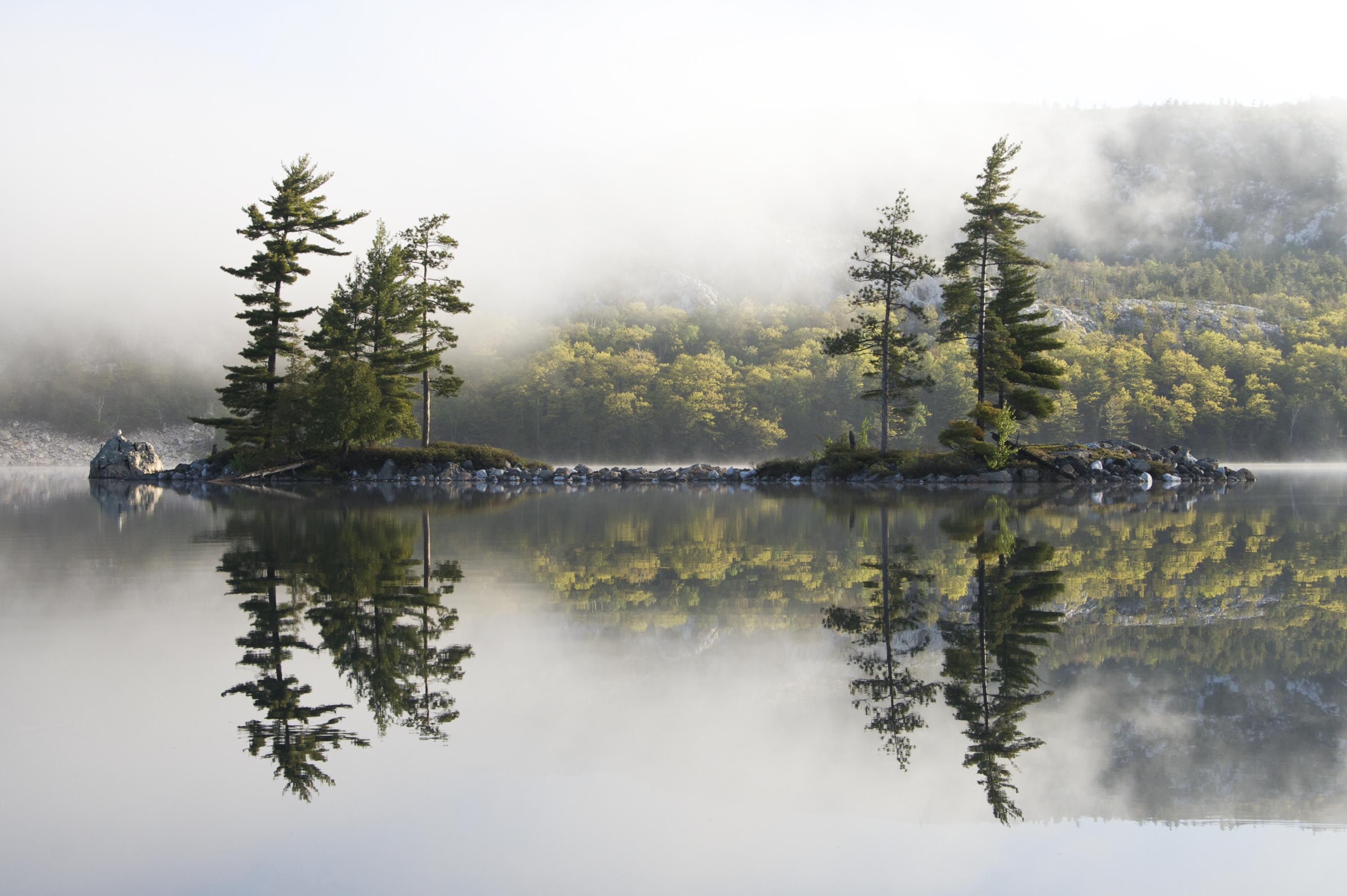 Hitchhiking in Canada? Read this first