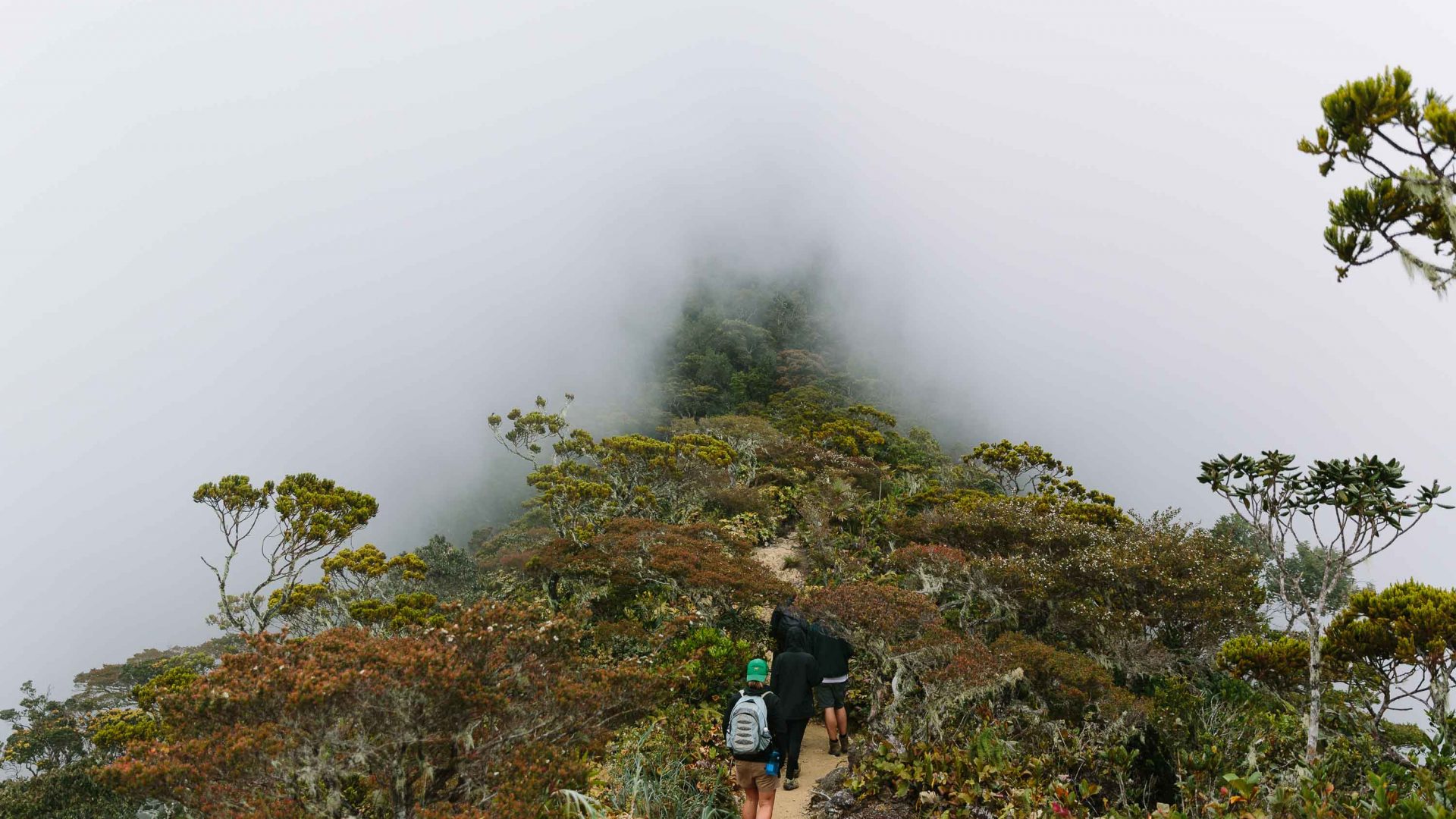 Travelers hike Mount Kinabalu in Borneo.