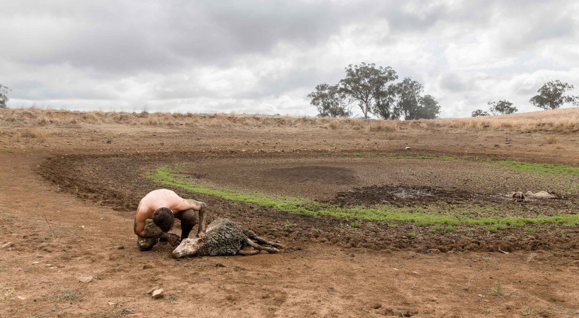 The harsh impact of drought in Australia... the sheep survived!