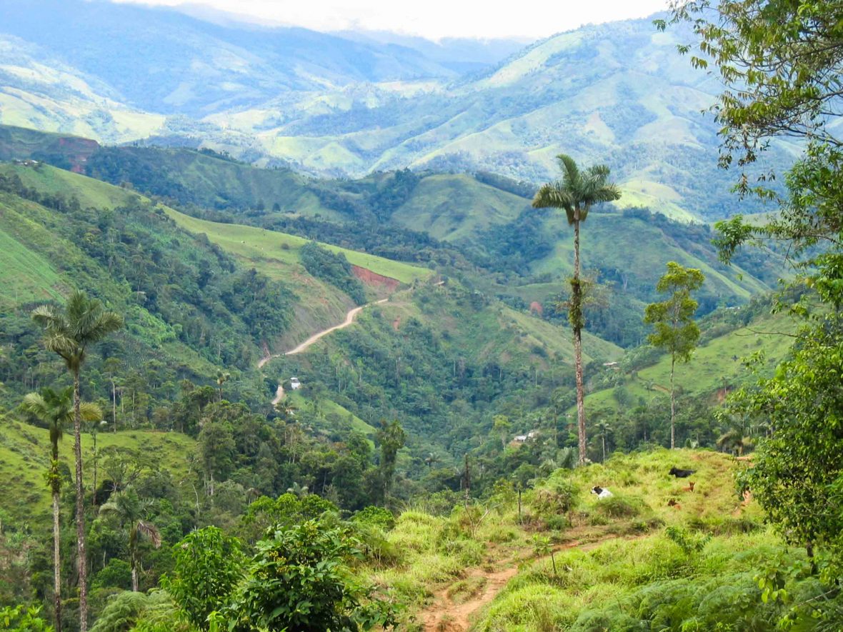 Caquetá in San Vincente Del Caguan, Colombia: This region was the center of the 'zona de despeje'—a demilitarized zone for the FARC—during peace negotiations with the Colombian government.
