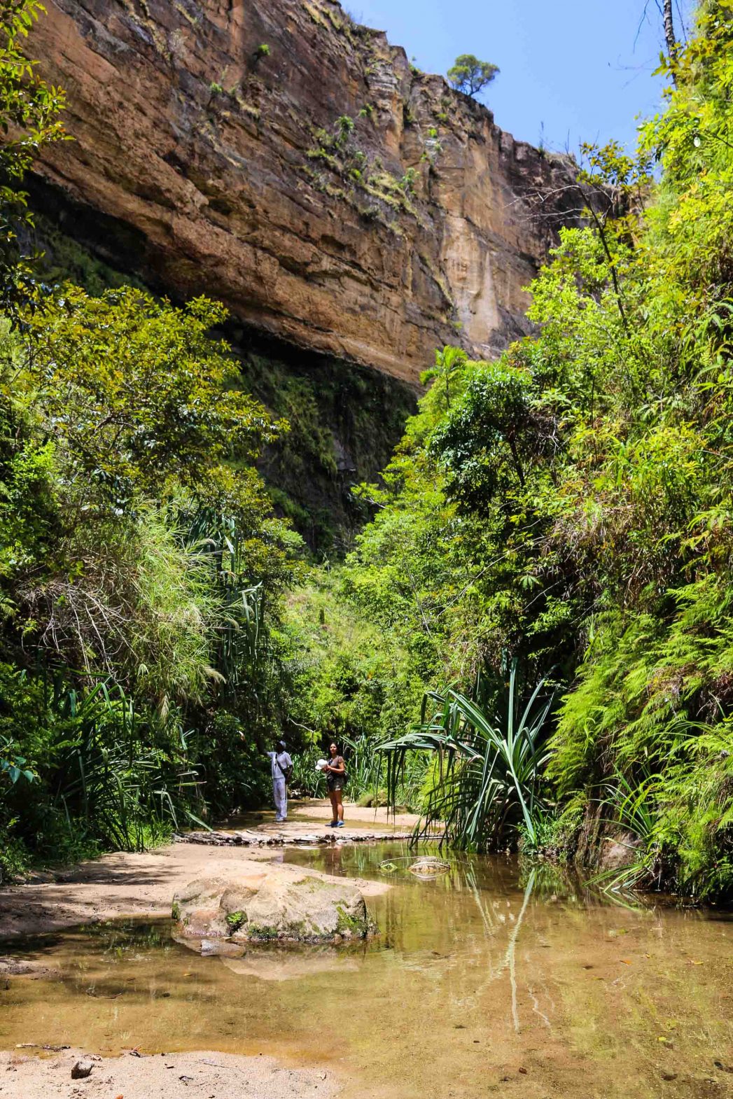 Isalo National Park in the Jurassic-esque highlands of southwest Madagascar.