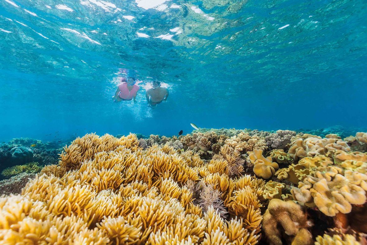 Moore Reef in the Great Barrier Reef.
