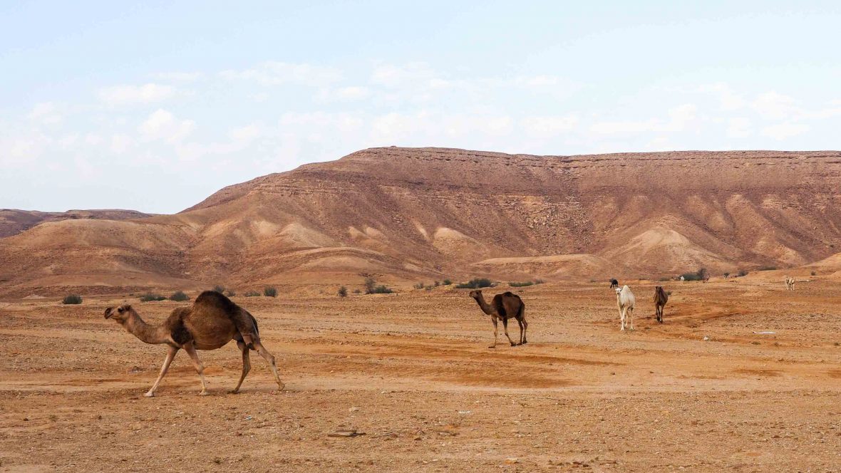 Travel in Saudi Arabia: Is the country ready for tourists? | Adventure.com