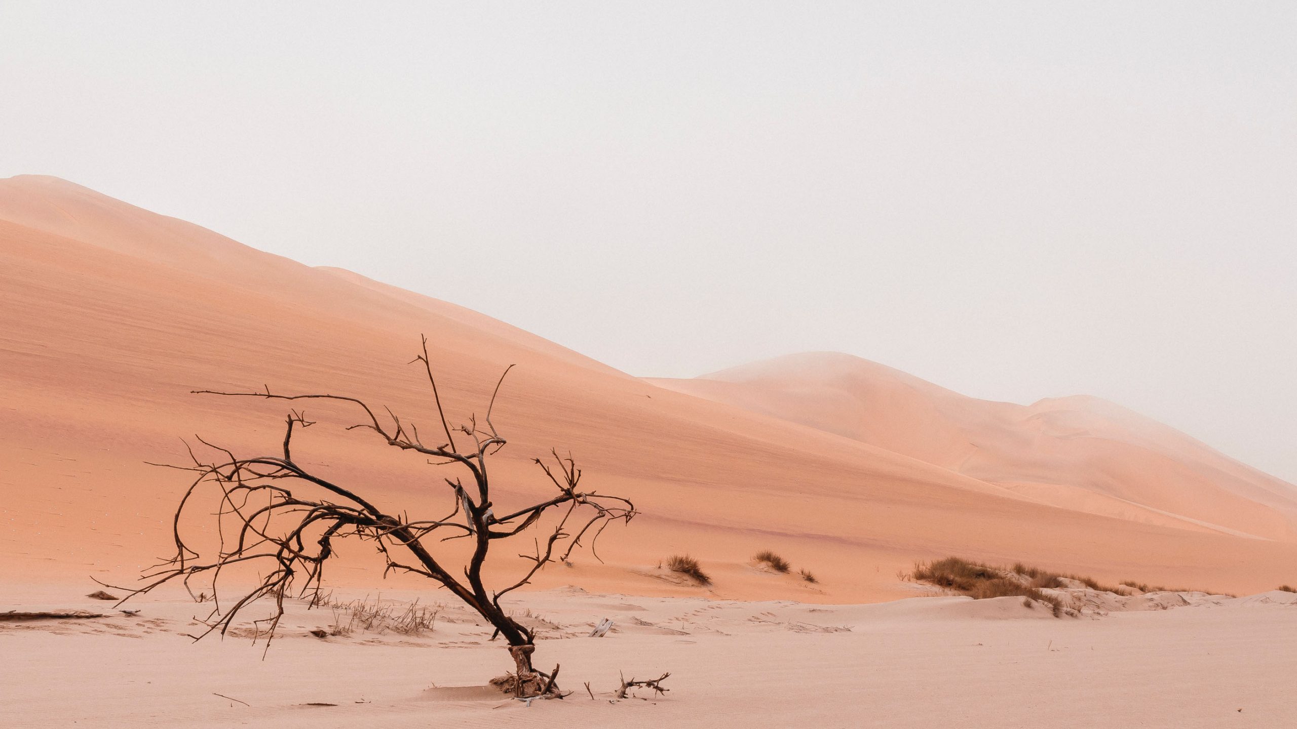 The Whispering Silence: A Look at Language Endangerment in Africa