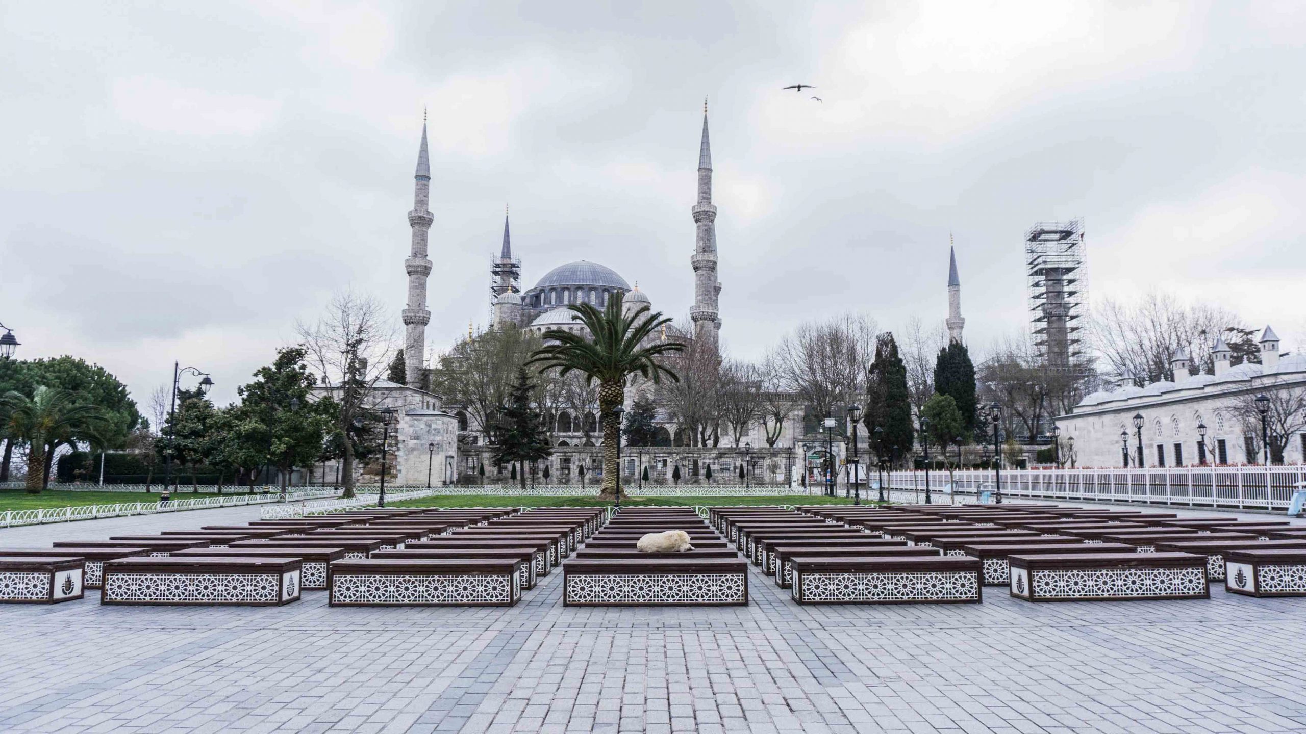 Empty Istanbul: When the city was silenced