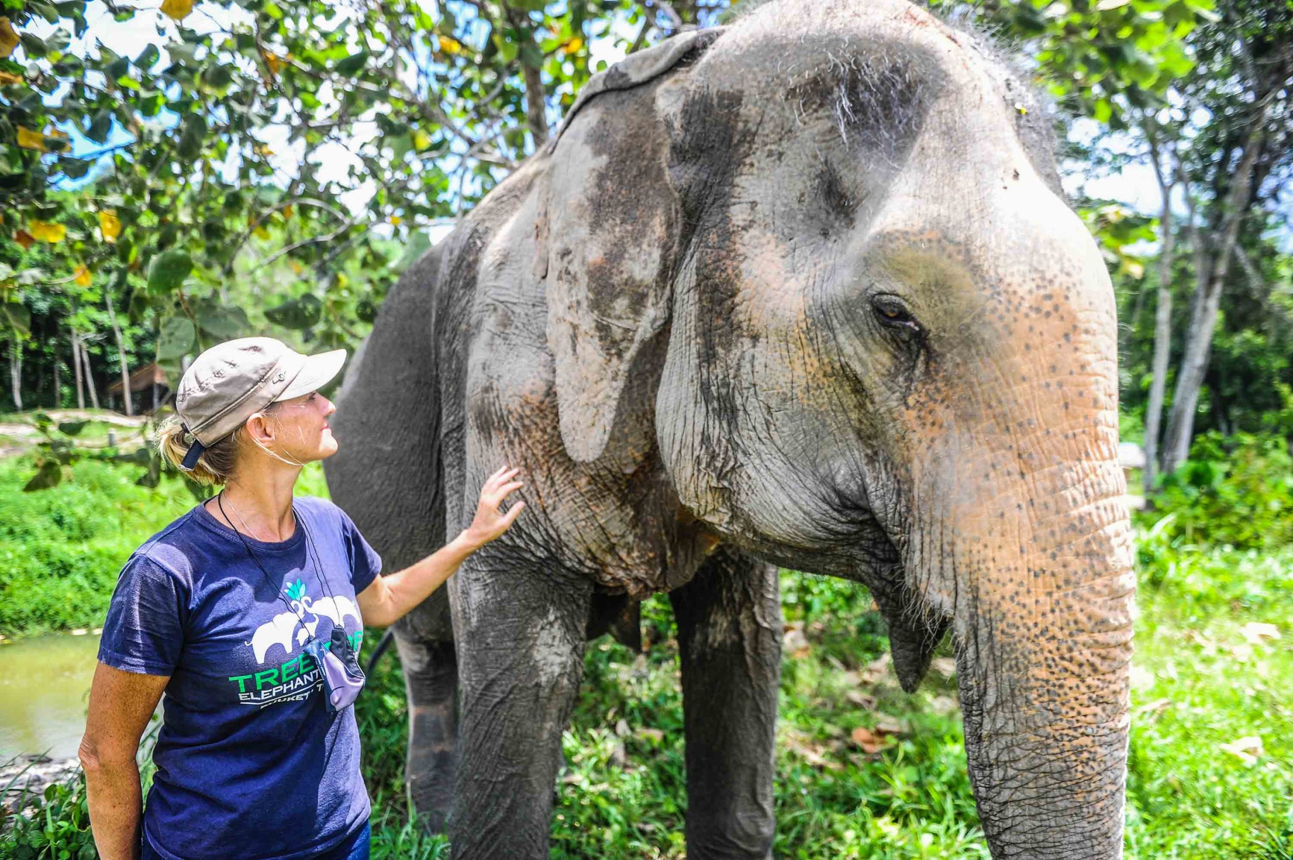 Without tourism, Thailand's elephants are facing a crisis | Adventure.com