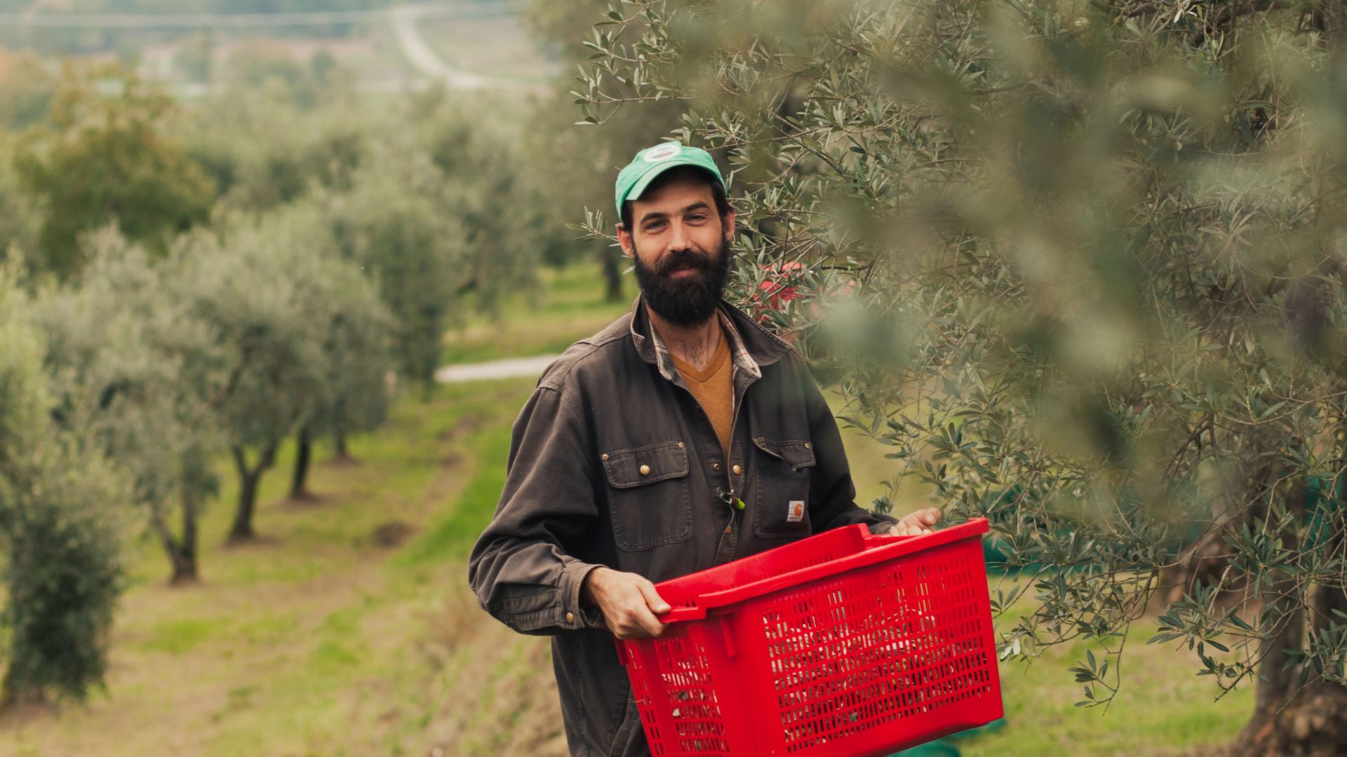 Ever just wanted to move to Tuscany and make olive oil? This New Yorker did just that