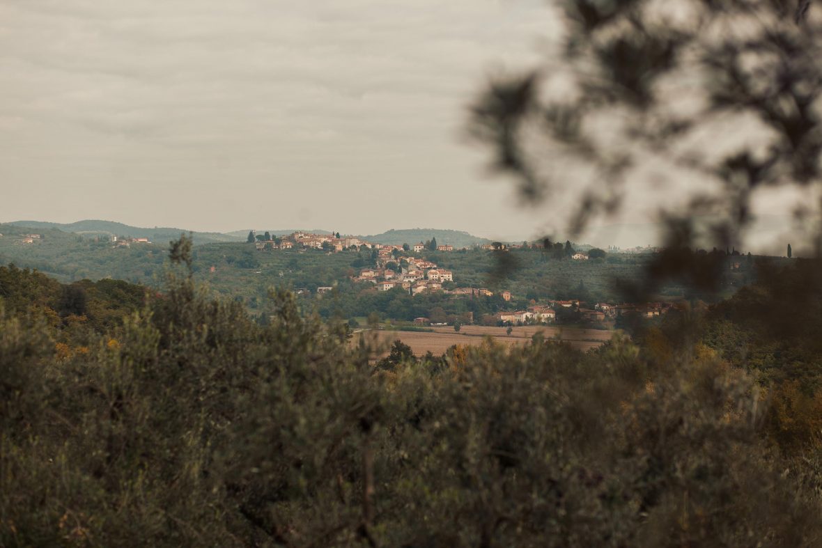 The countryside surrounding the olive grove.